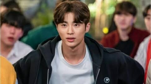Byeon Woo Seok  as Won Hye Hyo in record of youth kdrama
