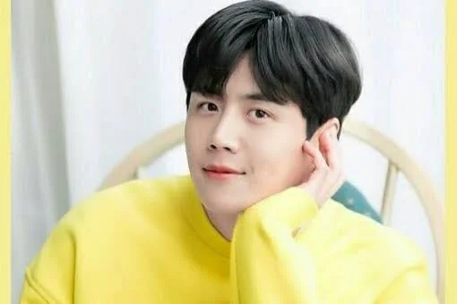 kim seon Ho first