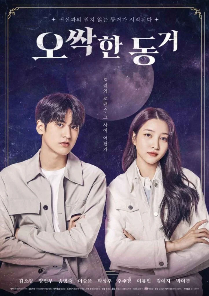 My Chilling Roomate Korean movie + drama poster 2022