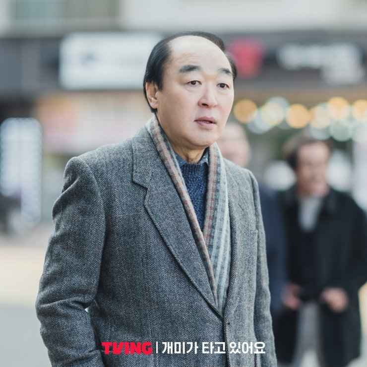 Stockstruck Jang Gwang as Kim Jin Bae