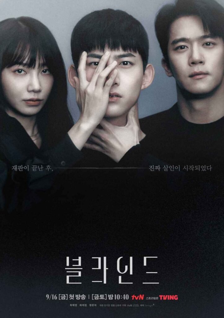 Korean drama Blind 2022 poster