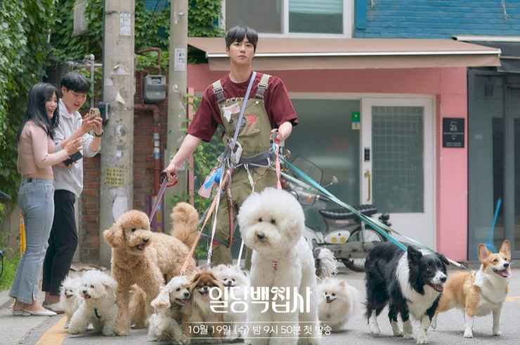 Lee Jun Young with So many dogs drama 2022