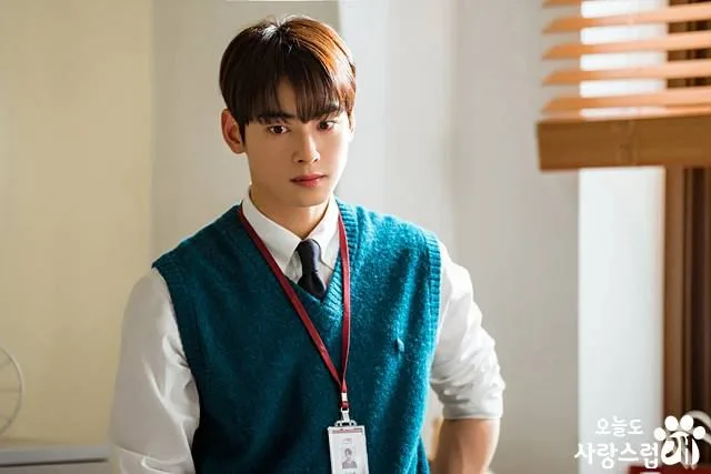 Cha Eun woo in half navy blue or sea green sweater