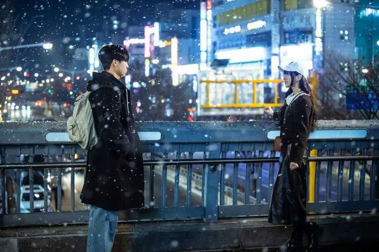 snowfall scene doona