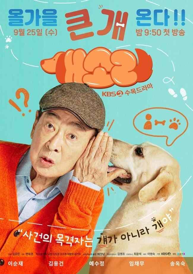 dog knows everything kdrma 2024