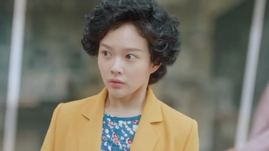 Jung Ji So kdrama who is she