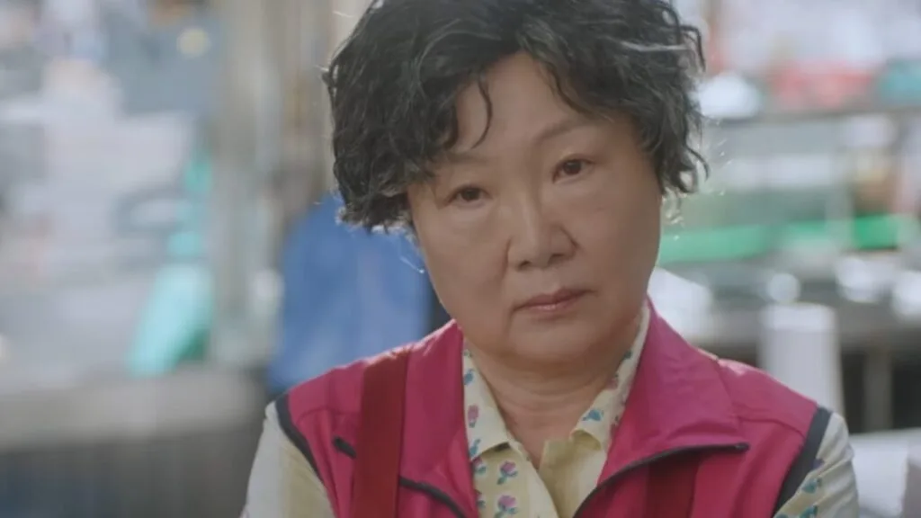 Kim Hae Seok Who is she drama