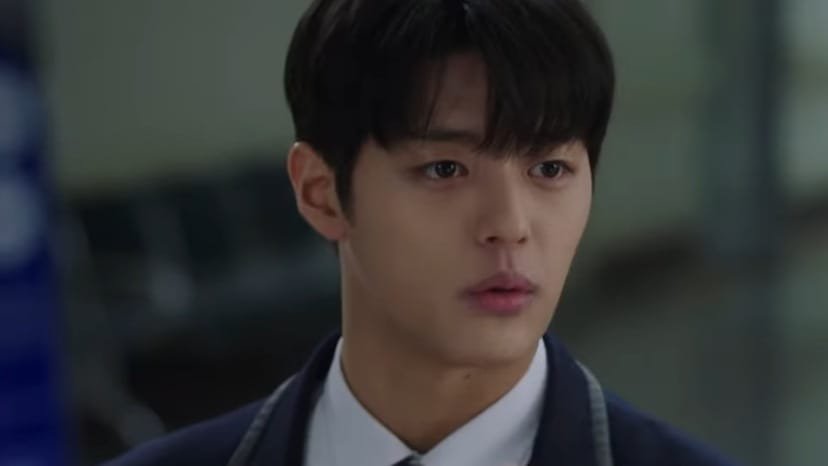 Park Soo Oh as Go Hwa Jin
