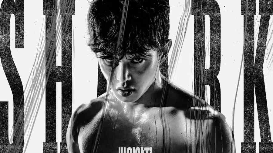 Shark 2 The Storm May 2025 Kdramas list