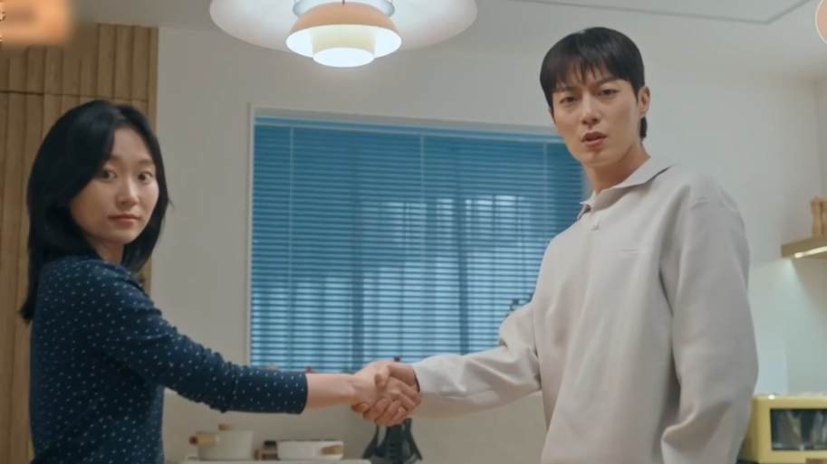 Kim Seul Gi and Yoon Doo Joon Korean drama cat custody war