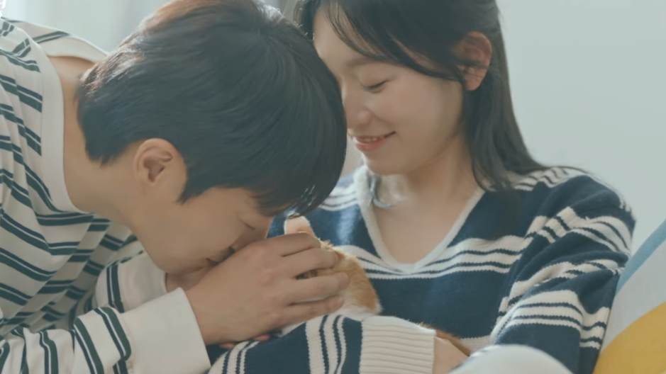 korean drama about a couple who adopted a cat