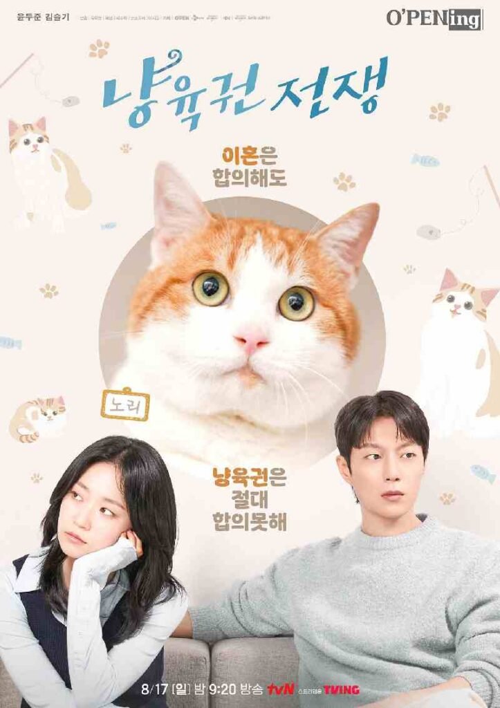 Cat Custody War poster