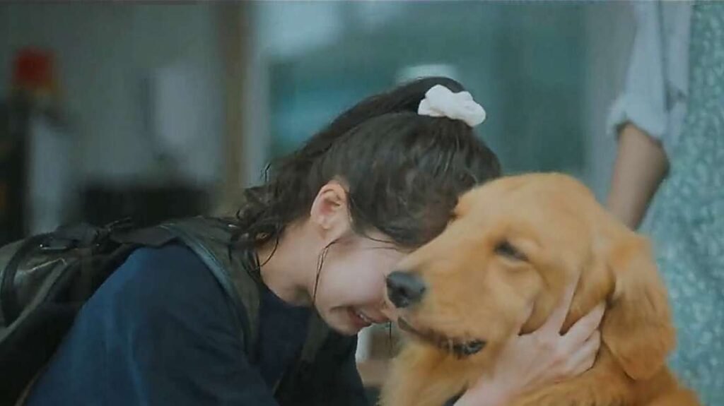 the dog in My Lovely Journey my lovely journey ep 4 recap