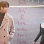 can this love be translated