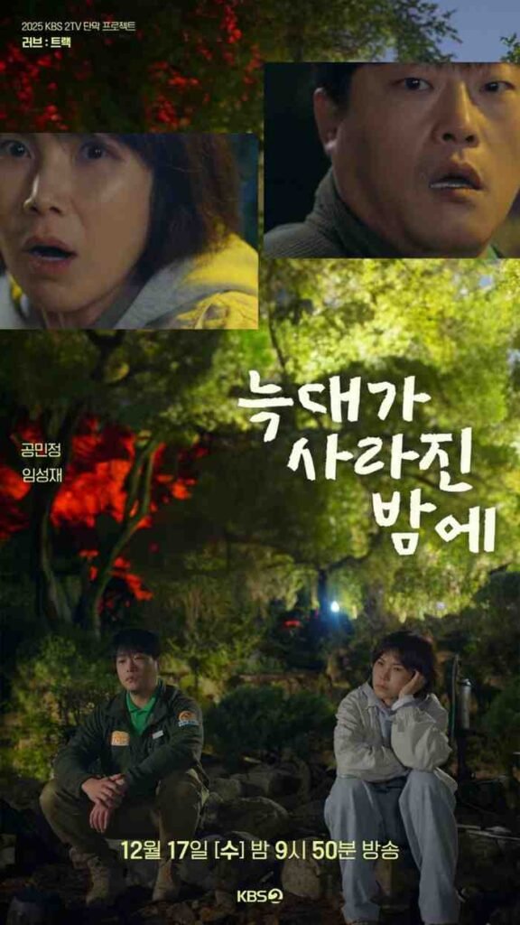 LOve Track: Finding Us kbs drama special 2025 poster