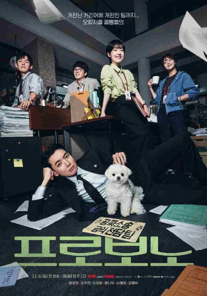 Pro Bono kdrama 2026 poster
